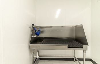 Dominium-Centennial Crossings-Dog Wash